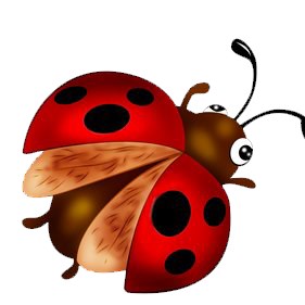 LadybugBelle